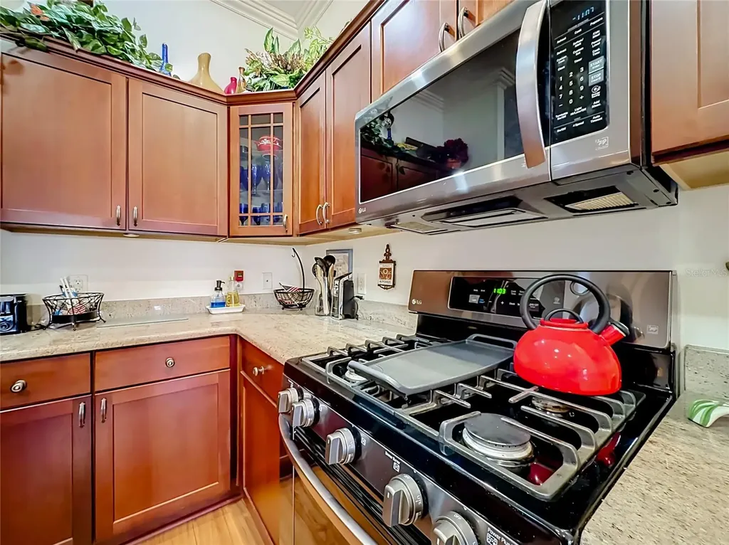858 Astor Way The Villages FL 32162