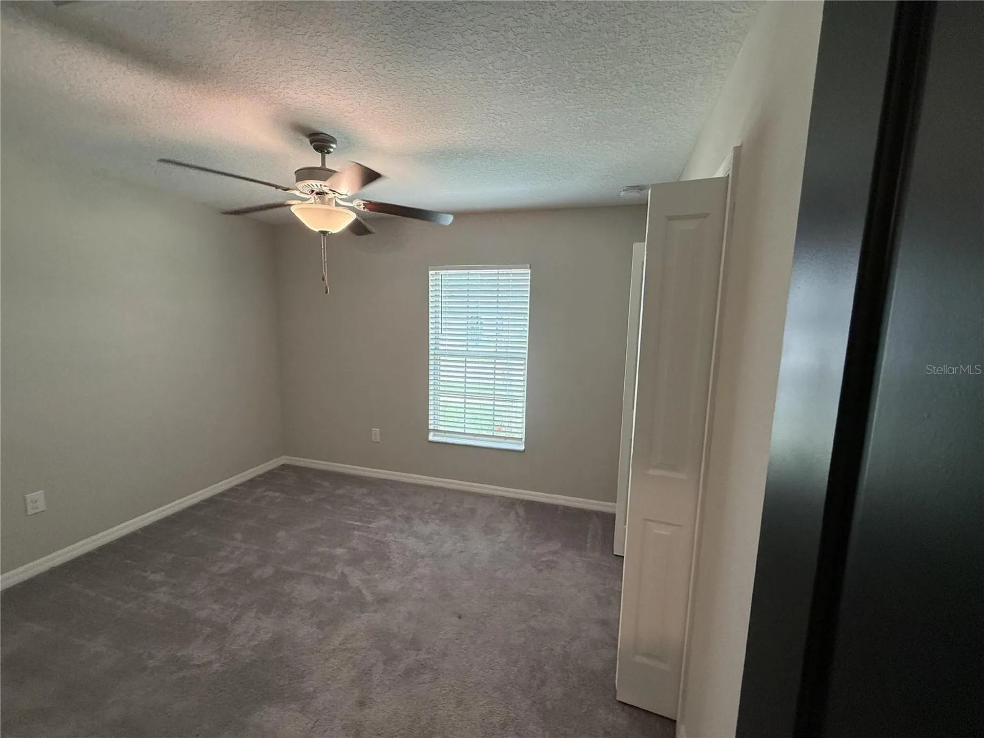 14906 Imperial Purple Lane Wimauma FL 33598