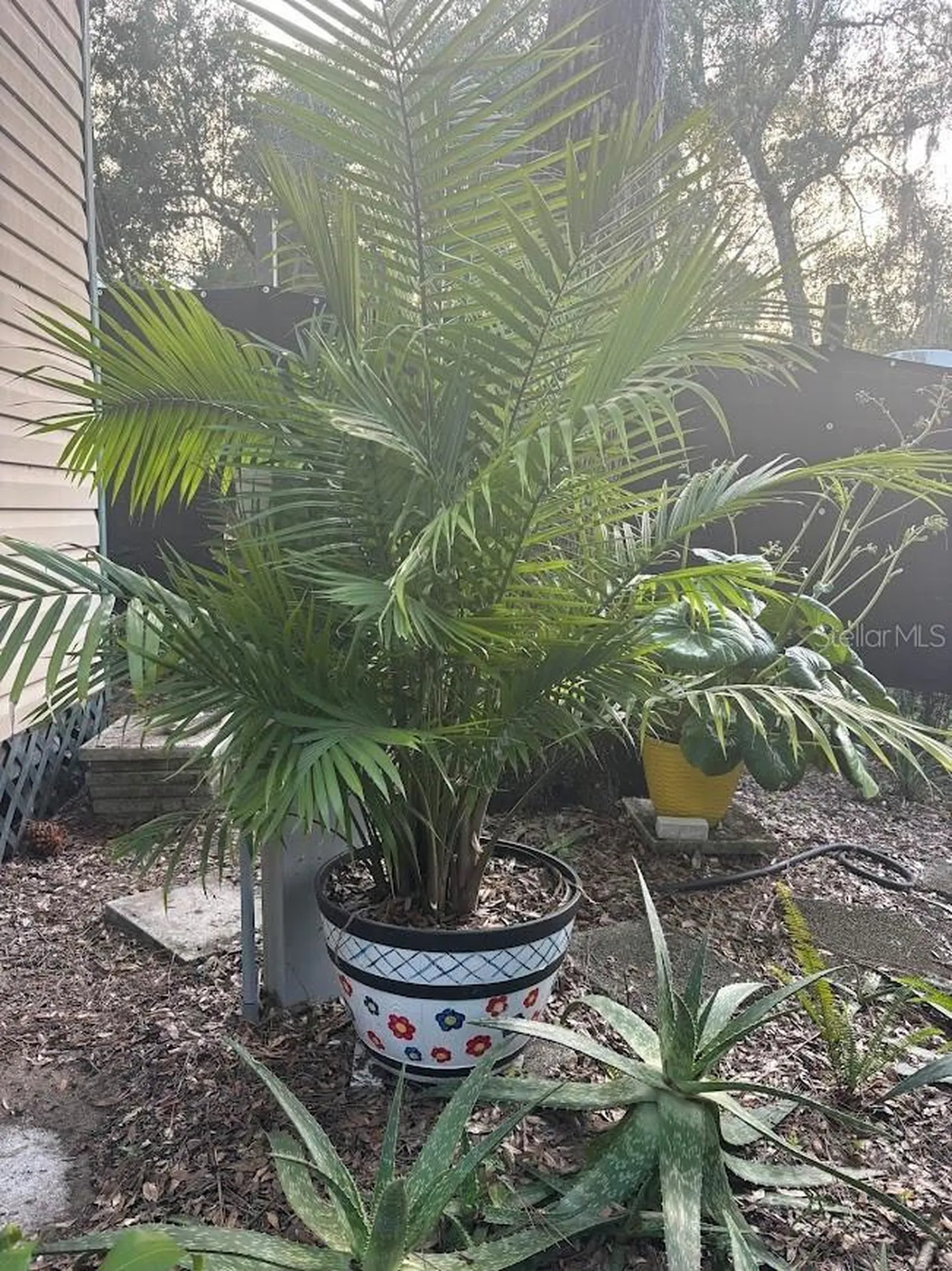 25244 NE 143rd Street Salt Springs FL 32134