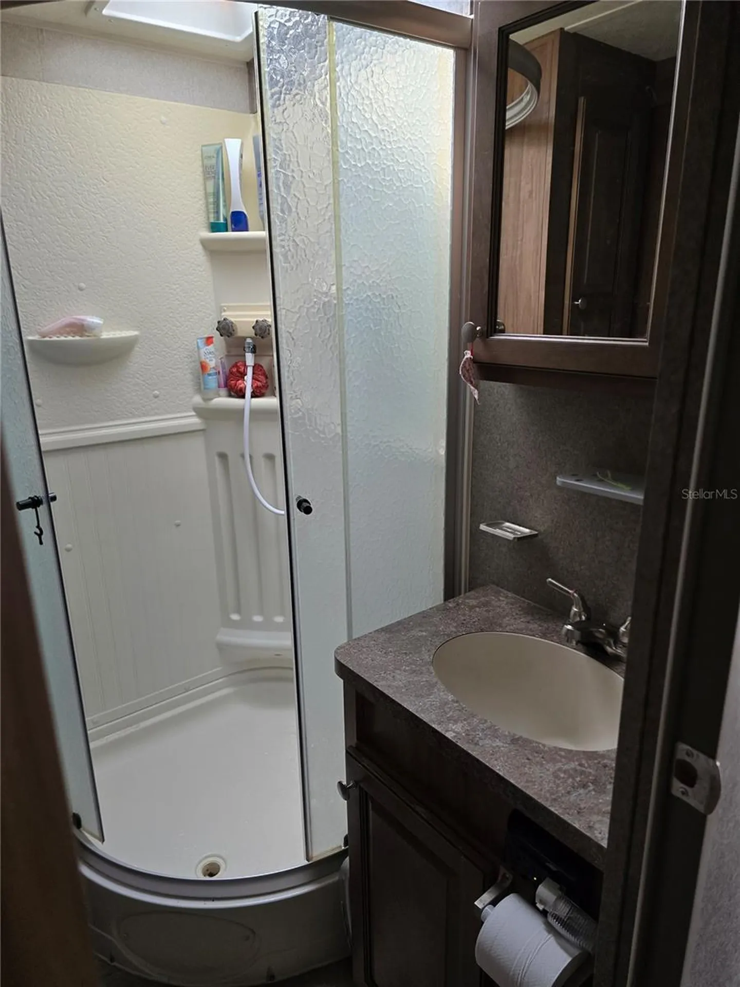 25244 NE 143rd Street Salt Springs FL 32134