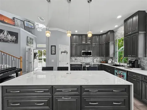 816 Runner Oak Street Celebration FL 34747