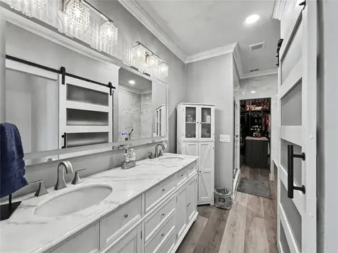 816 Runner Oak Street Celebration FL 34747
