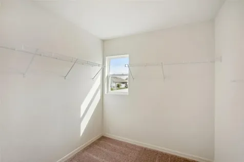 14089 Eastern Phoebe Road Weeki Wachee FL 34614