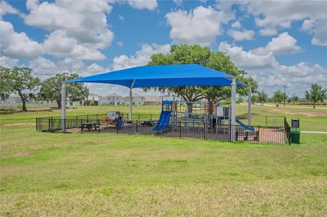 10706 Torchwood Sea Way San Antonio FL 33576
