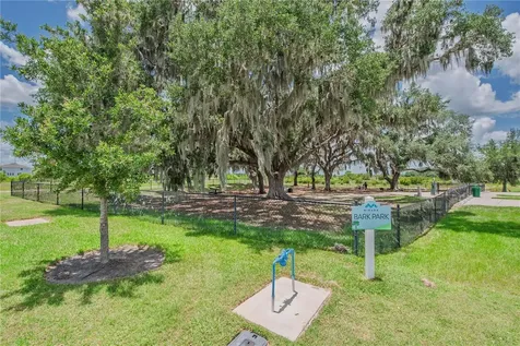 10706 Torchwood Sea Way San Antonio FL 33576