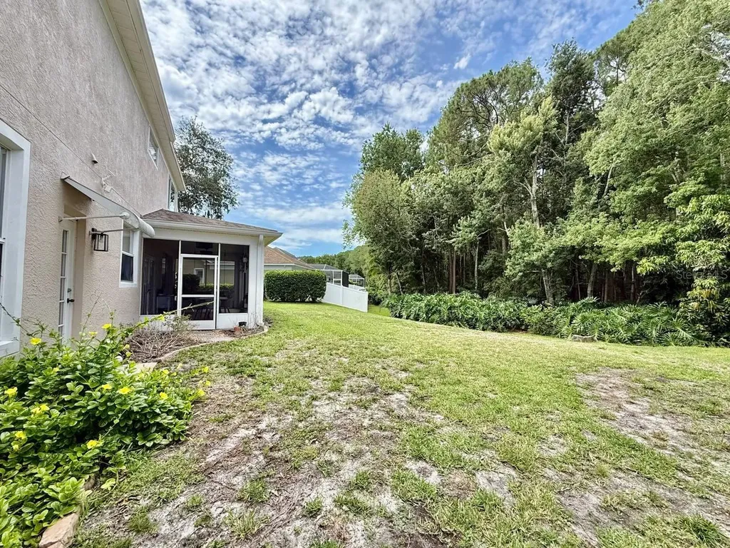 4272 Ellinwood Boulevard Palm Harbor FL 34685