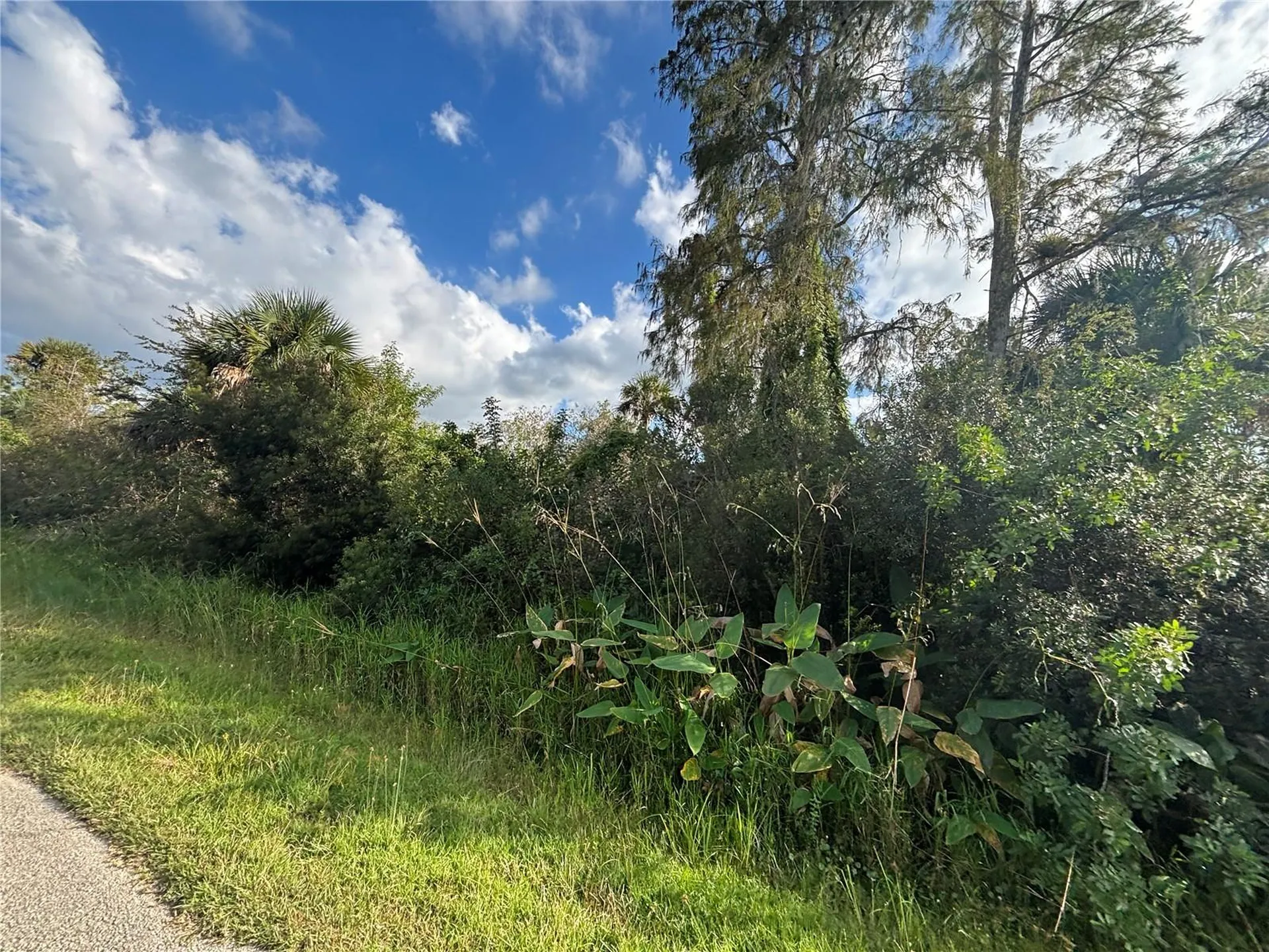 XXX37 Th Ave NE Naples FL 34120