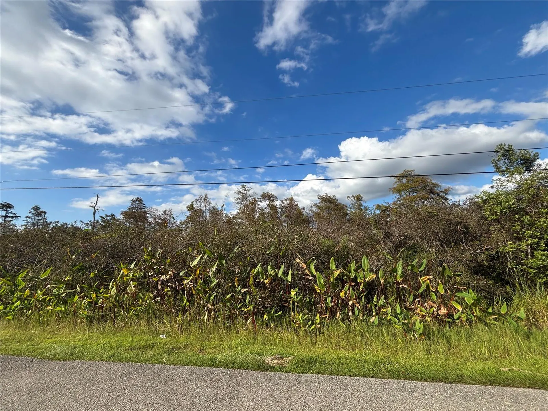 XXX37 Th Ave NE Naples FL 34120