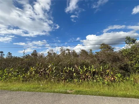 XXX37 Th Ave NE Naples FL 34120