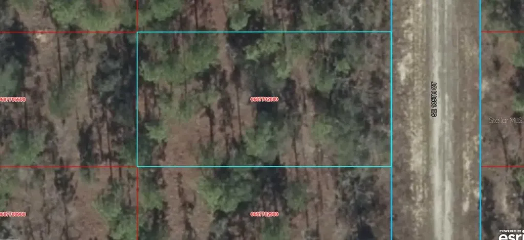 06877-028-00 SE 135th Court Williston FL 32696