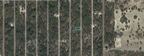 06877-028-00 SE 135th Court Dunnellon FL 34431