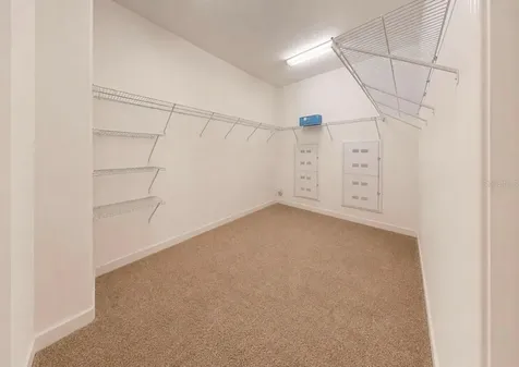 12018 Cardinal Flower Drive Riverview FL 33579