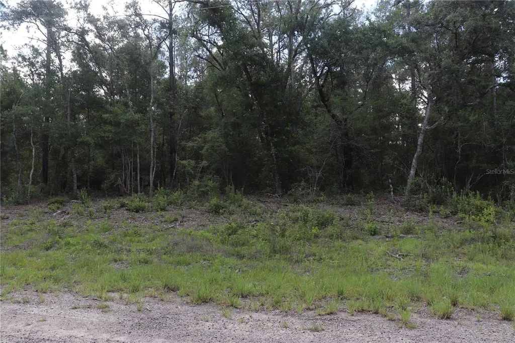 653 Vercelli Lane Dunnellon FL 34434