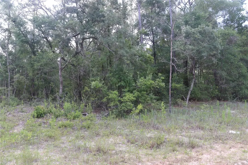 653 Vercelli Lane Dunnellon FL 34434