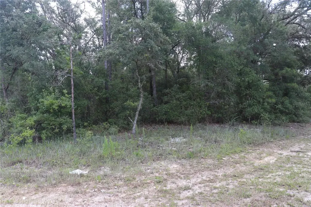 653 Vercelli Lane Dunnellon FL 34434