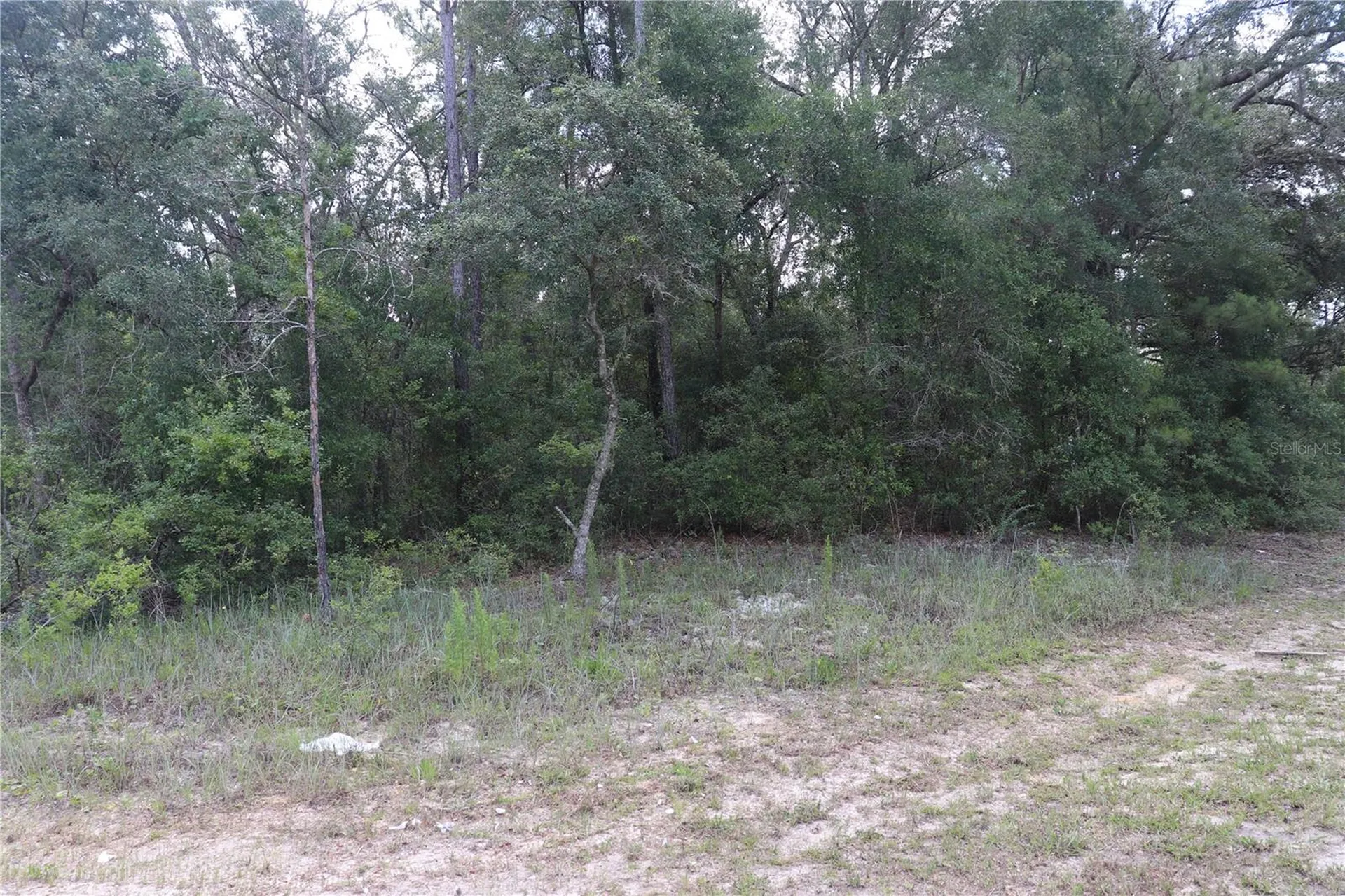653 Vercelli Lane Dunnellon FL 34434