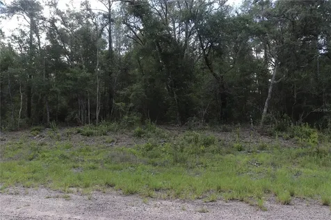 653 Vercelli Lane Dunnellon FL 34434
