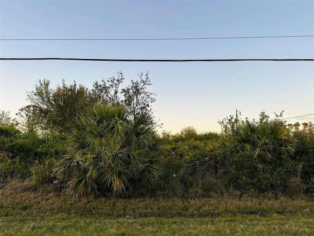 12204 Zittle Avenue Port Charlotte FL 33981
