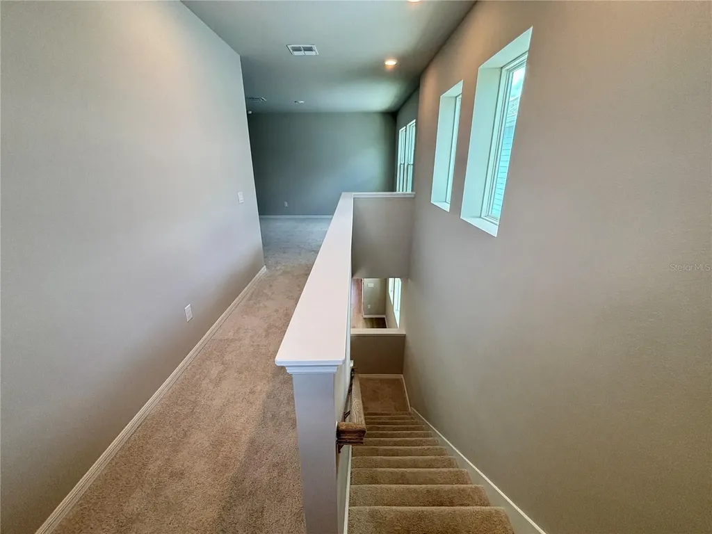 3379 Yellow Cassia Drive Wesley Chapel FL 33543