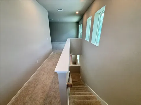 3379 Yellow Cassia Drive Wesley Chapel FL 33543