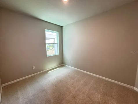 3379 Yellow Cassia Drive Wesley Chapel FL 33543