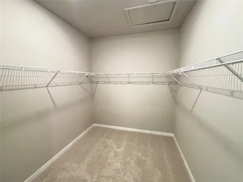 3379 Yellow Cassia Drive Wesley Chapel FL 33543