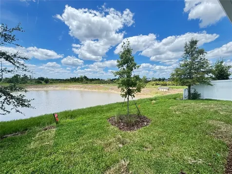 3379 Yellow Cassia Drive Wesley Chapel FL 33543