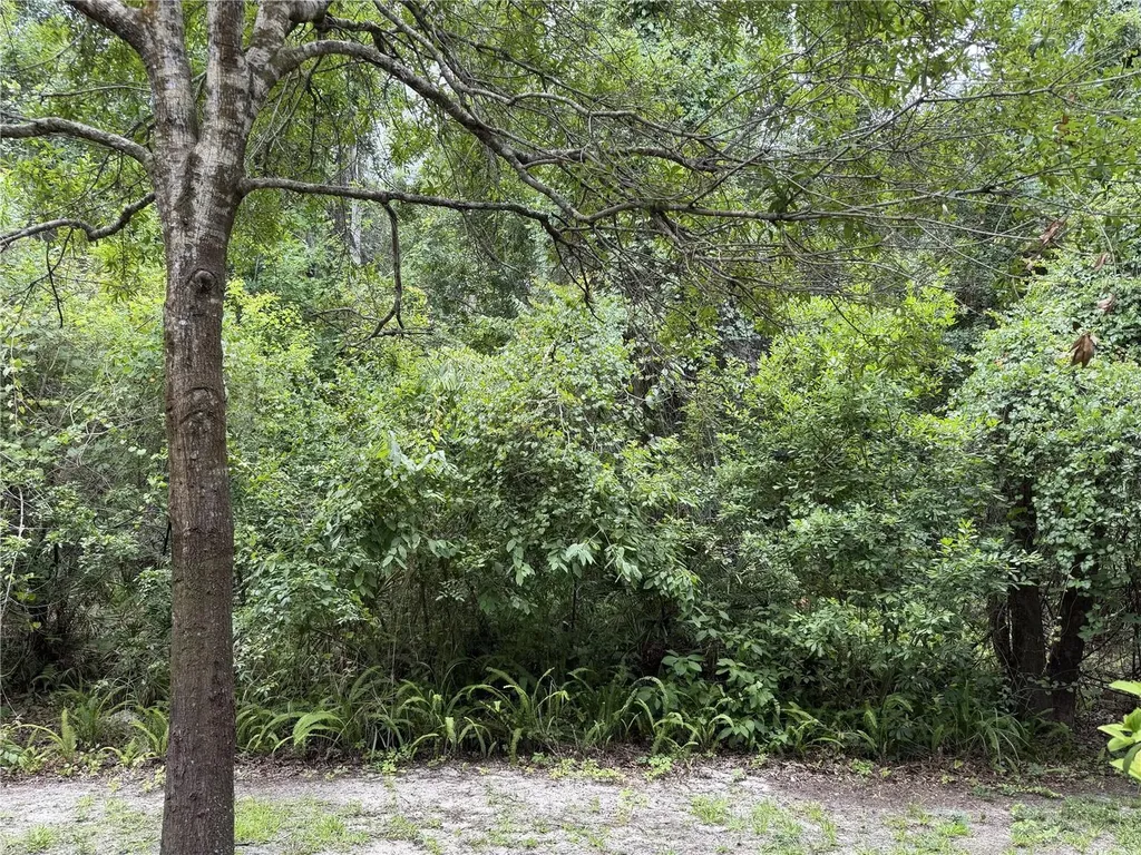 9410 Charlesberg Drive Tampa FL 33635