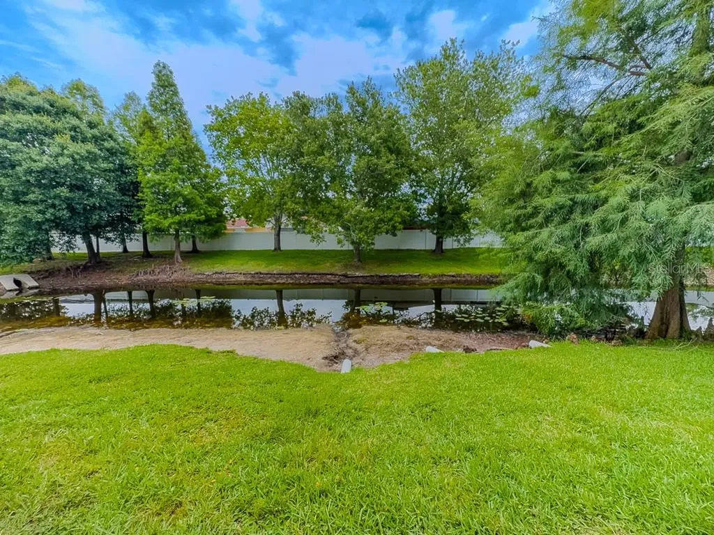 8505 Sandy Beach Street Tampa FL 33634