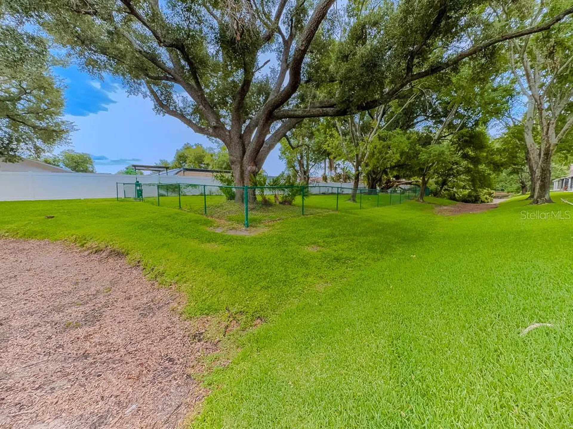 8505 Sandy Beach Street Tampa FL 33634