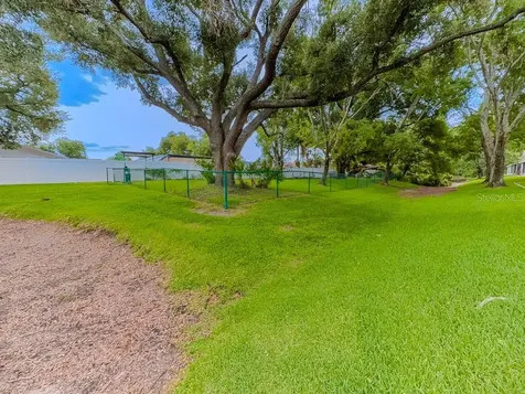 8505 Sandy Beach Street Tampa FL 33634