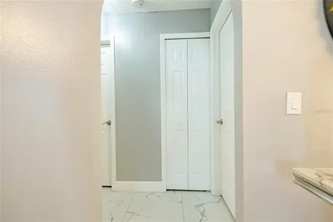 19204 Wood Sage Drive Tampa FL 33647