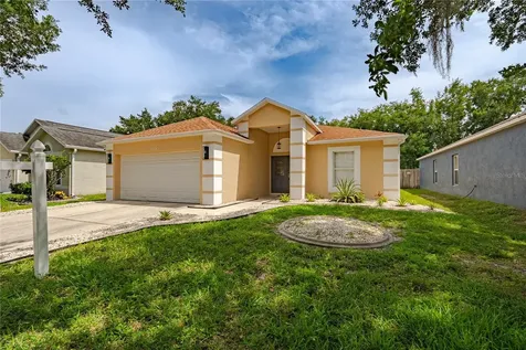 19204 Wood Sage Drive Tampa FL 33647