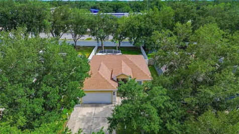19204 Wood Sage Drive Tampa FL 33647