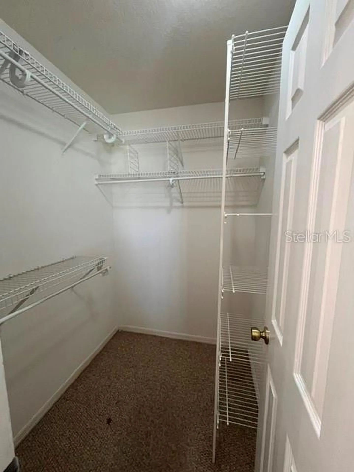 3276 NW 44th Court Ocala FL 34482