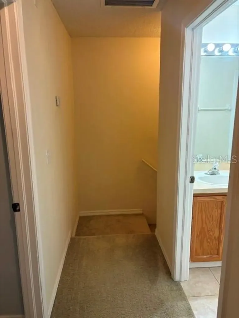 18157 Paradise Point Drive Tampa FL 33647