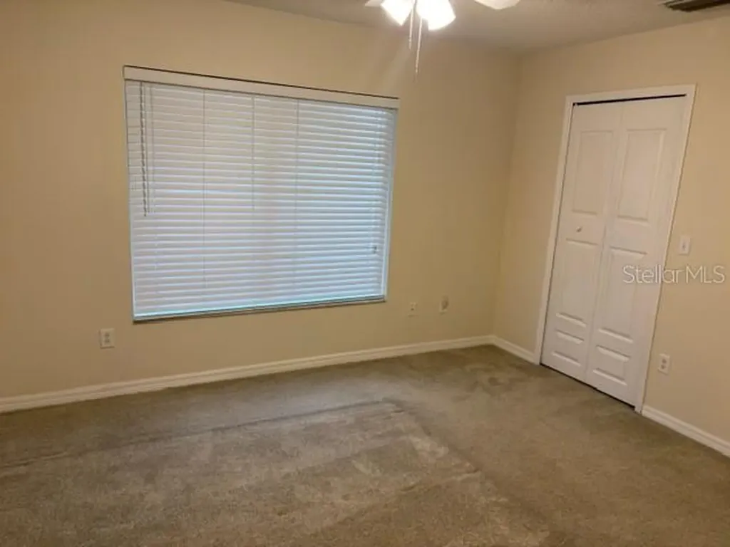 18157 Paradise Point Drive Tampa FL 33647