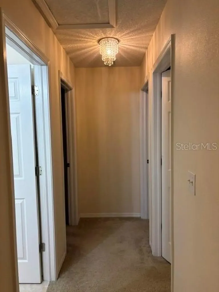 18157 Paradise Point Drive Tampa FL 33647