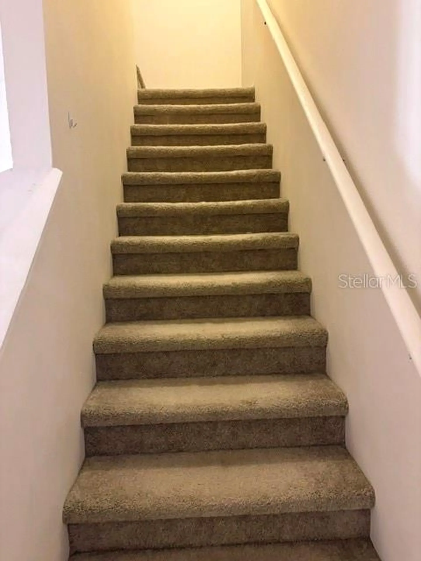 18157 Paradise Point Drive Tampa FL 33647