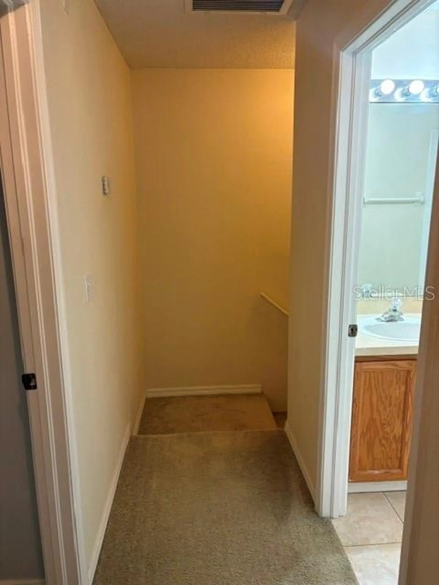 18157 Paradise Point Drive Tampa FL 33647