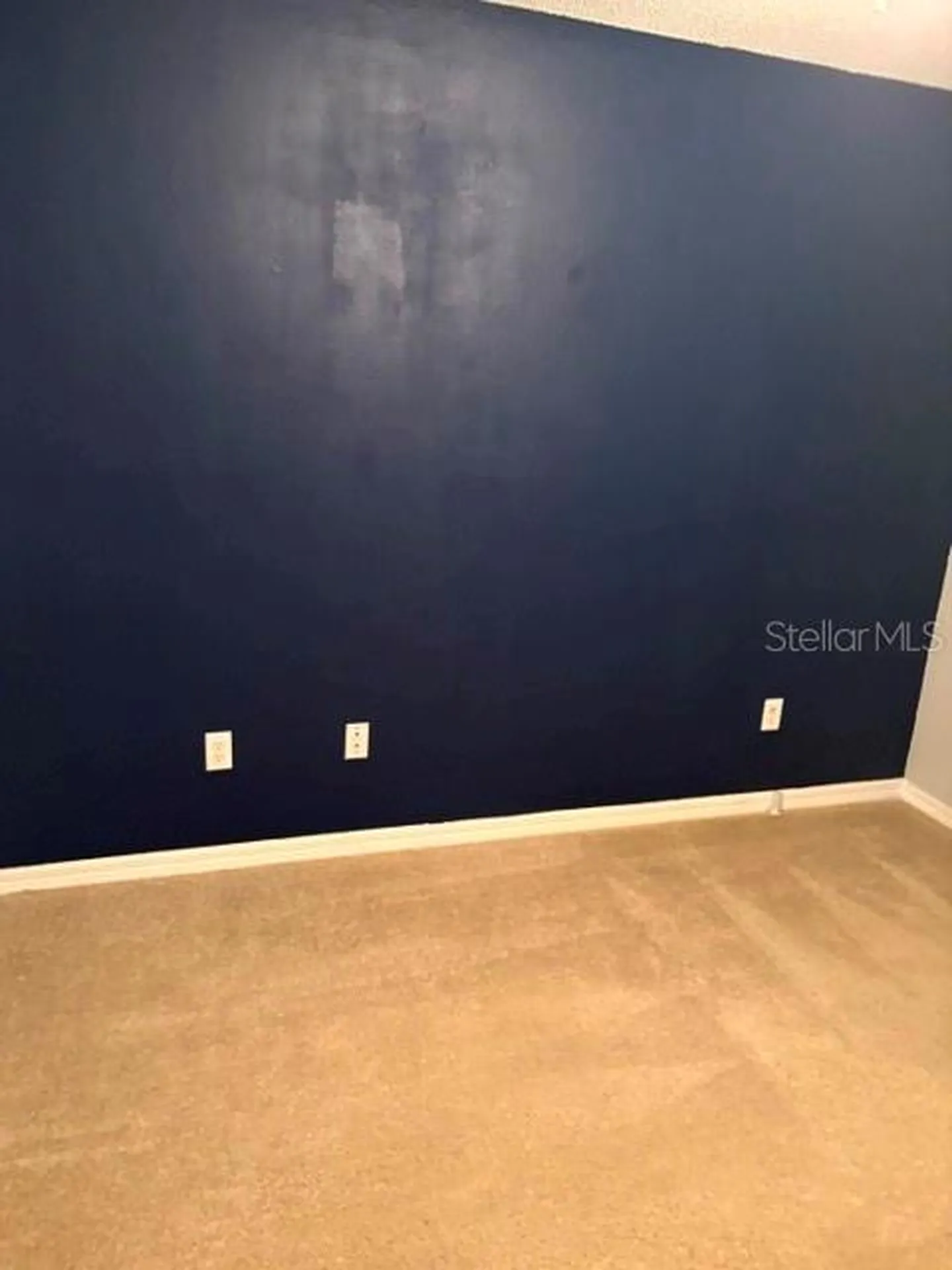 18157 Paradise Point Drive Tampa FL 33647