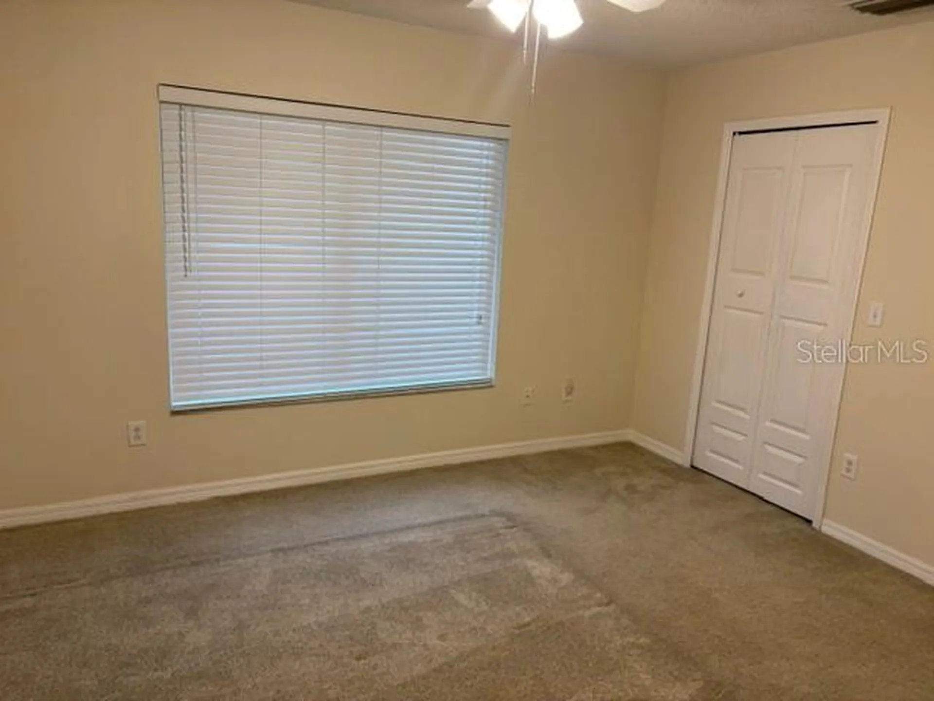 18157 Paradise Point Drive Tampa FL 33647