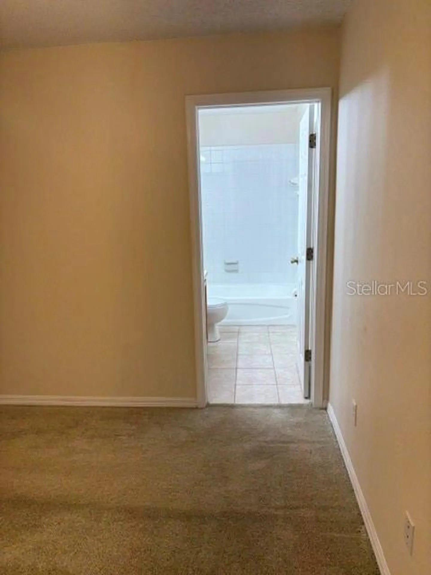 18157 Paradise Point Drive Tampa FL 33647