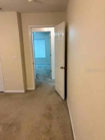 18157 Paradise Point Drive Tampa FL 33647