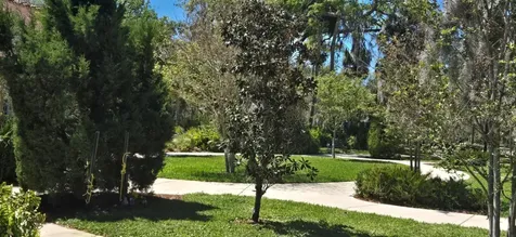 5904 Elm Street New Port Richey FL 34652