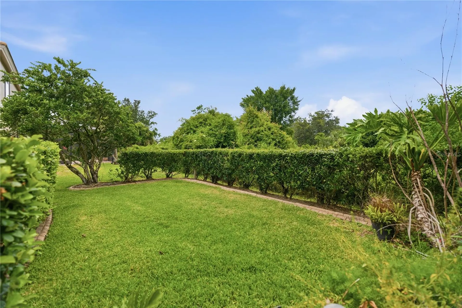 10266 Estuary Drive Tampa FL 33647