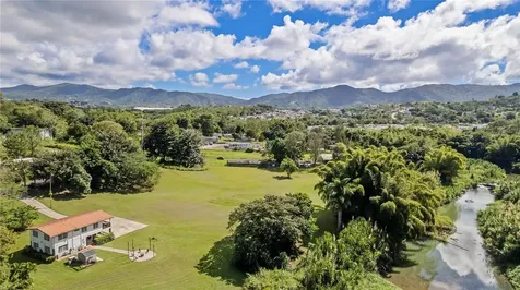 6882 Avenida Campo Bello Bo. Rincon Cidra PR 00739
