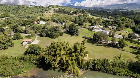6882 Avenida Campo Bello Bo. Rincon Cidra PR 00739
