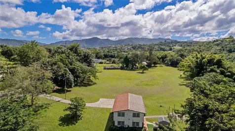 6882 Avenida Campo Bello Bo. Rincon Cidra PR 00739