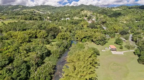 6882 Avenida Campo Bello Bo. Rincon Cidra PR 00739